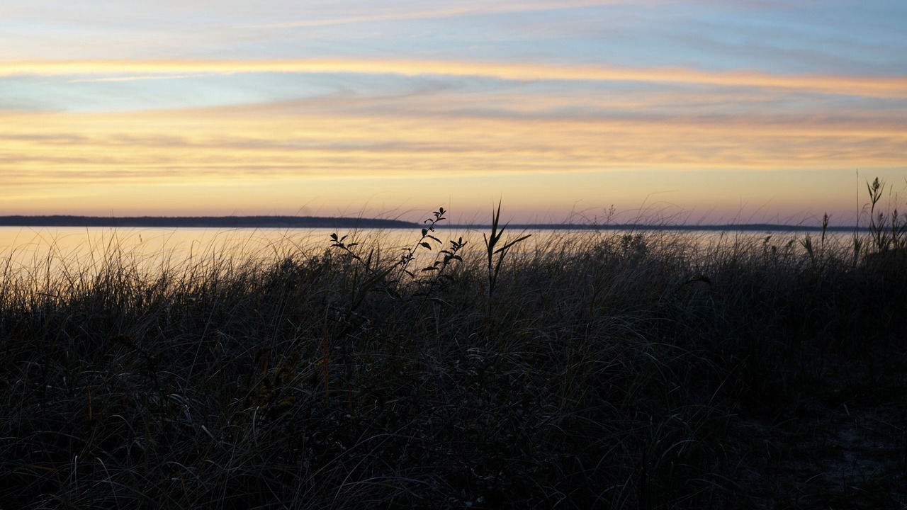 Photo of Others in North Sea