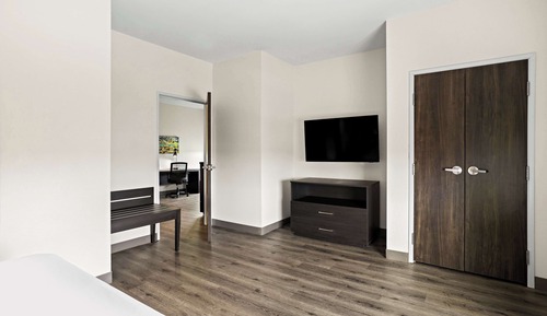 Suite, 1 King Bed, Non Smoking, Refrigerator & Microwave (with Sofabed)