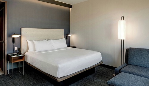 Room, 1 King Bed with Sofa bed