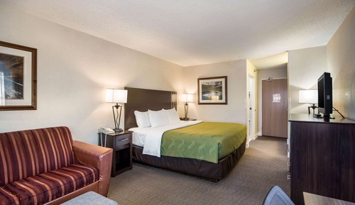 Business Room, 1 King Bed
