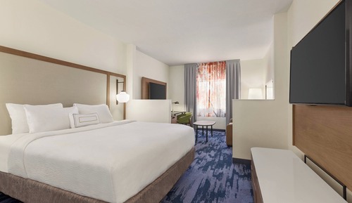 Suite, 1 King Bed with Sofa bed