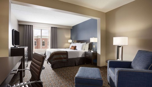 Room, 1 King Bed, Mobility Accessible, Non Smoking (Hearing, Roll-in Shower)