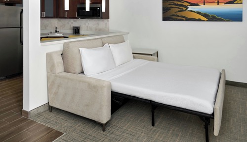 Studio, 1 King Bed with Sofa bed