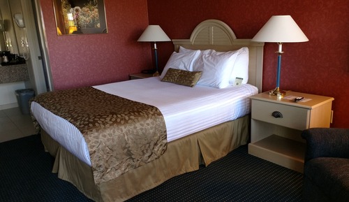 Single Room, 1 Queen Bed (First Floor)