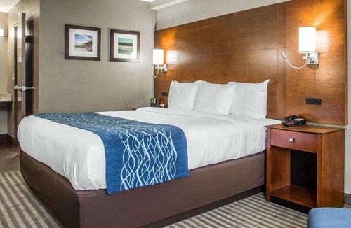 Hammond Hotel | Comfort Inn- Hammond
