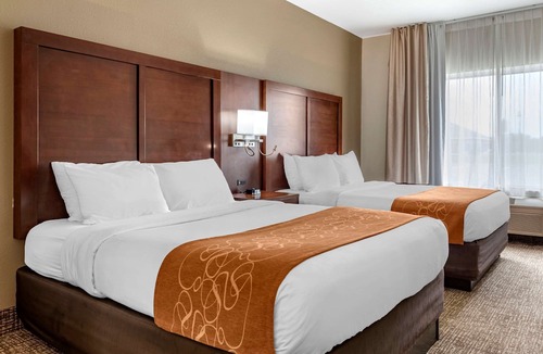Auburn Hotel | Comfort Suites Auburn Near I-69
