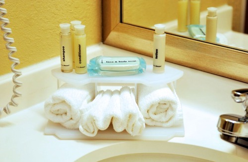 Lapeer Hotel | Holiday Inn Express Lapeer, an IHG Hotel