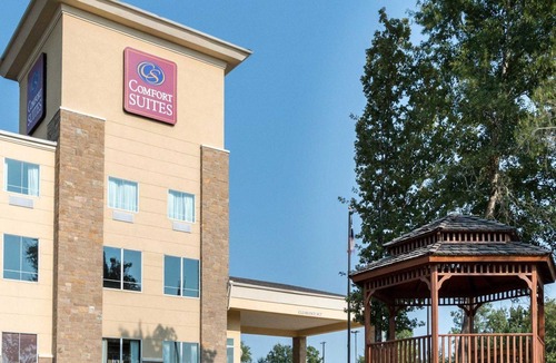 Palestine Hotel | Comfort Suites Palestine