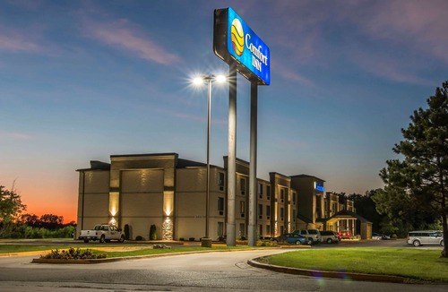 Romulus Hotel | Comfort Inn Metro Airport Romulus